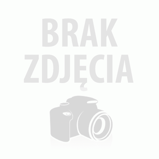 warsztaty z właściwości kamieni (8h)